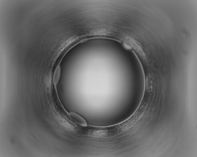 X0000111600156200907161600