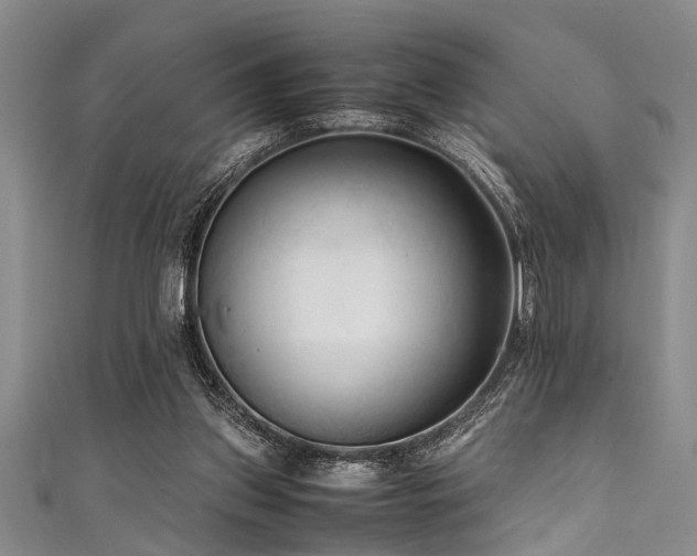 X0000111600157200907161600