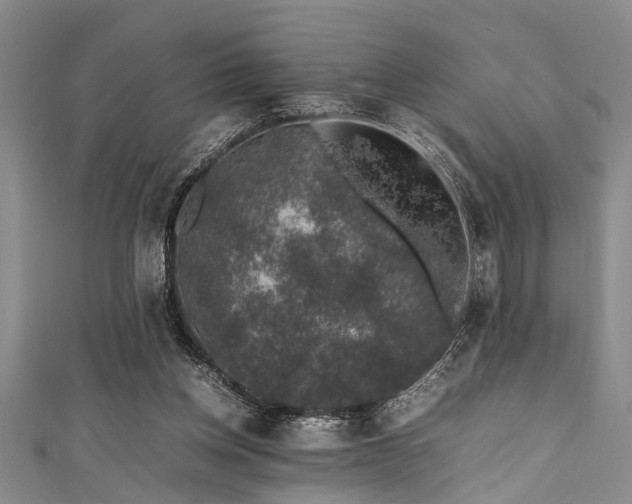 X0000111600158200907161600