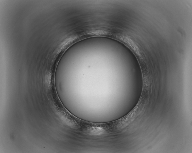 X0000111600159200907161600