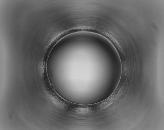 X0000111600160200907161600