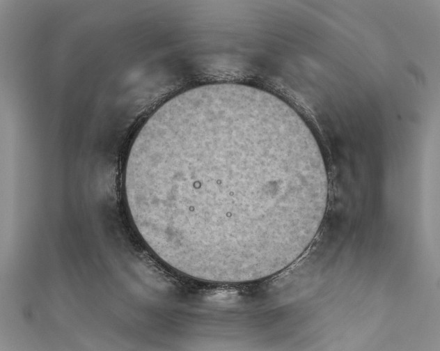 X0000111600162200907161600