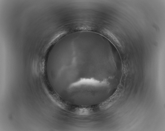 X0000111600163200907161600
