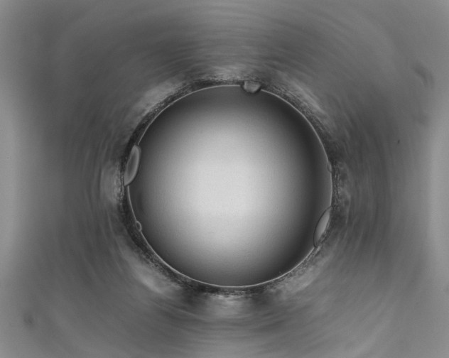 X0000111600164200907161600