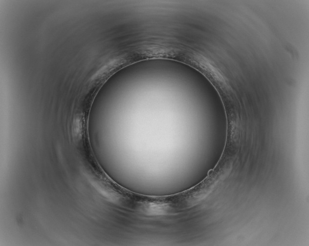 X0000111600165200907161600