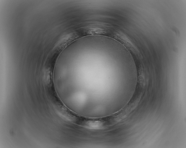 X0000111600169200907161600