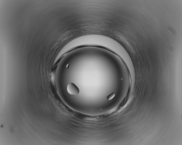 X0000111600170200907161600