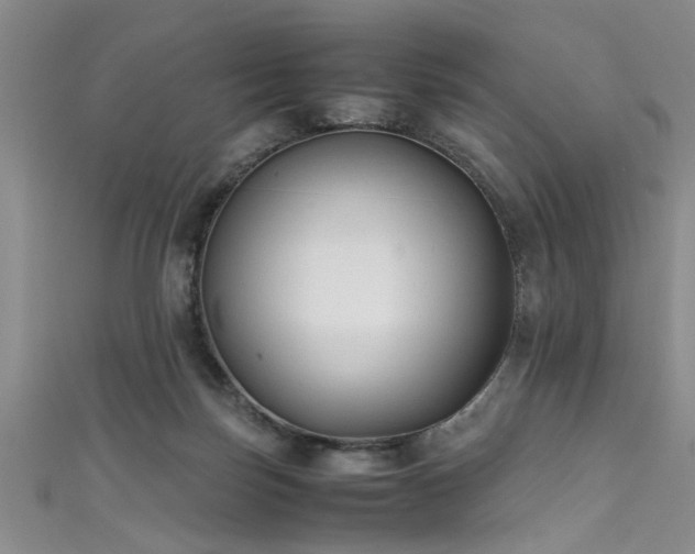 X0000111600171200907161600