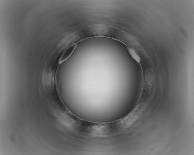 X0000111600172200907161600