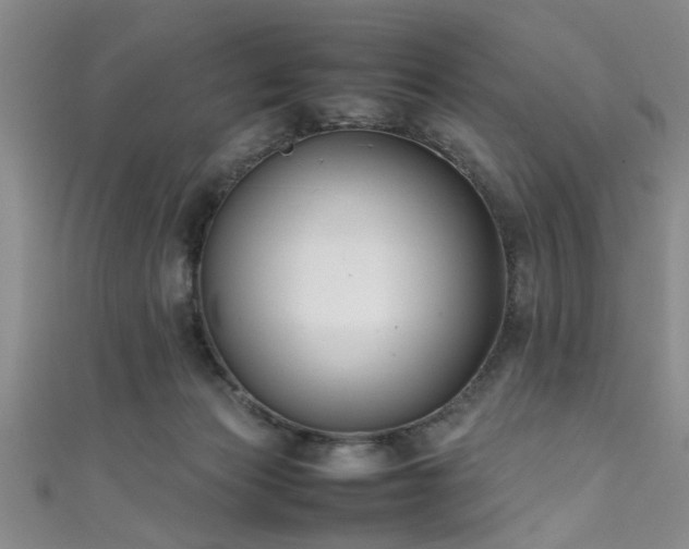 X0000111600173200907161600