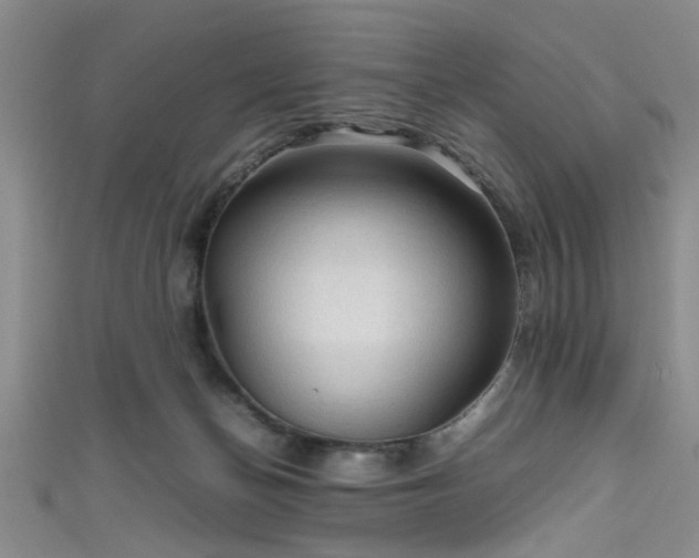 X0000111600174200907161600