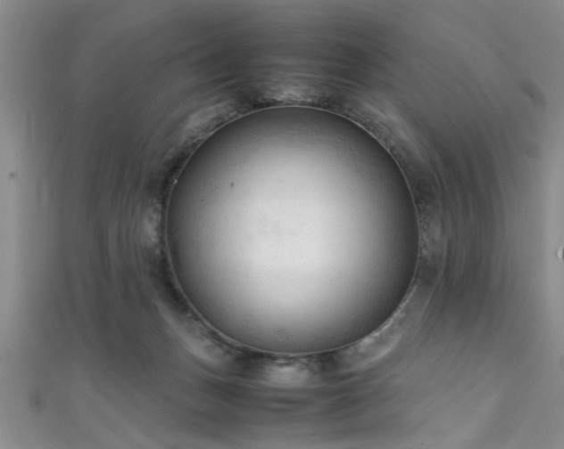 X0000111600175200907161600