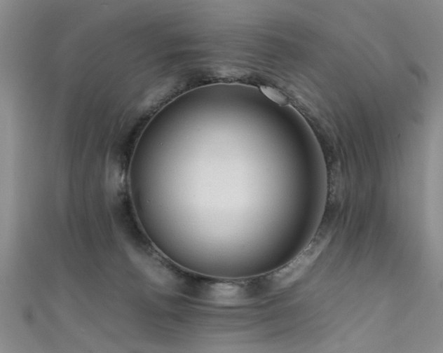 X0000111600176200907161600