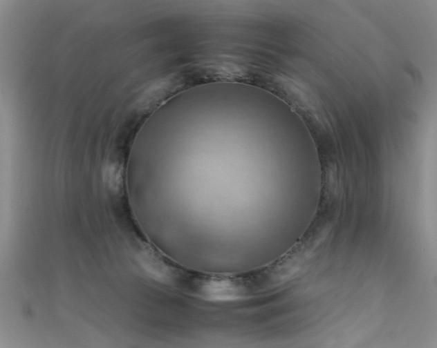 X0000111600177200907161600