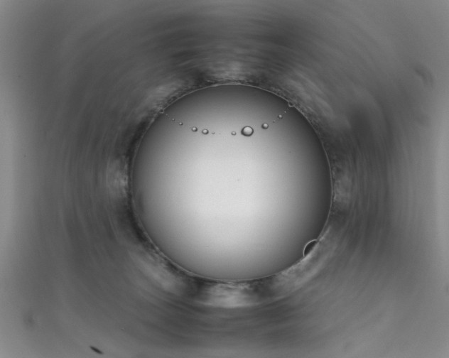 X0000111600179200907161600