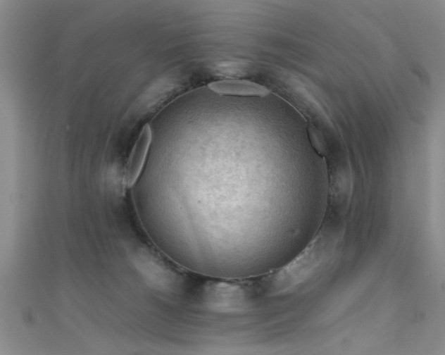 X0000111600180200907161600