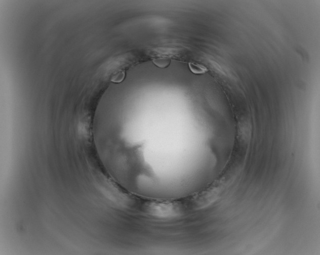 X0000111600181200907161600