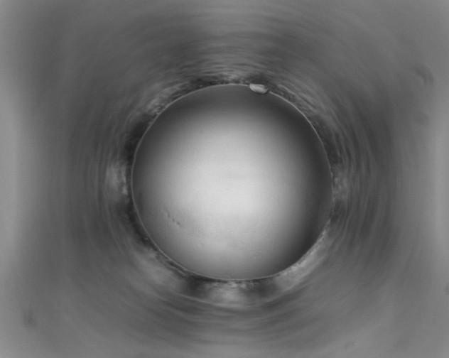 X0000111600182200907161600