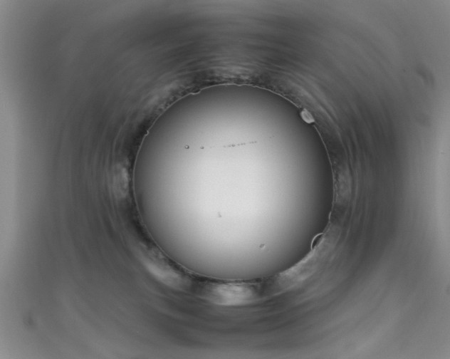 X0000111600183200907161600