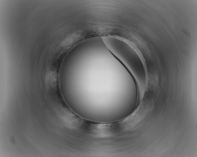 X0000111600184200907161600
