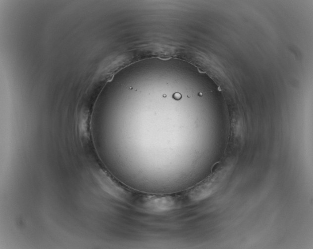 X0000111600185200907161600