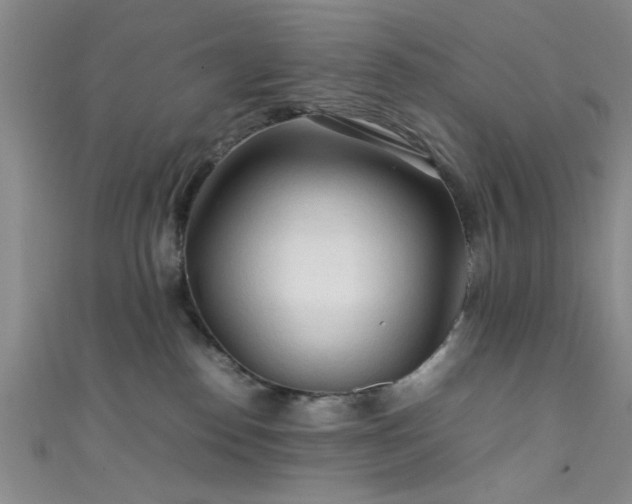 X0000111600186200907161600