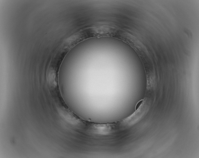 X0000111600187200907161600
