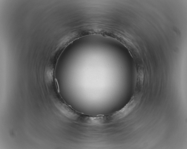 X0000111600188200907161600