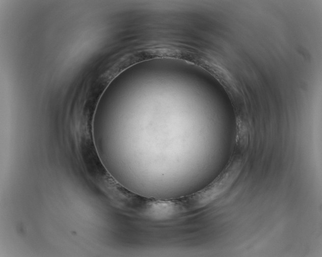 X0000111600189200907161600