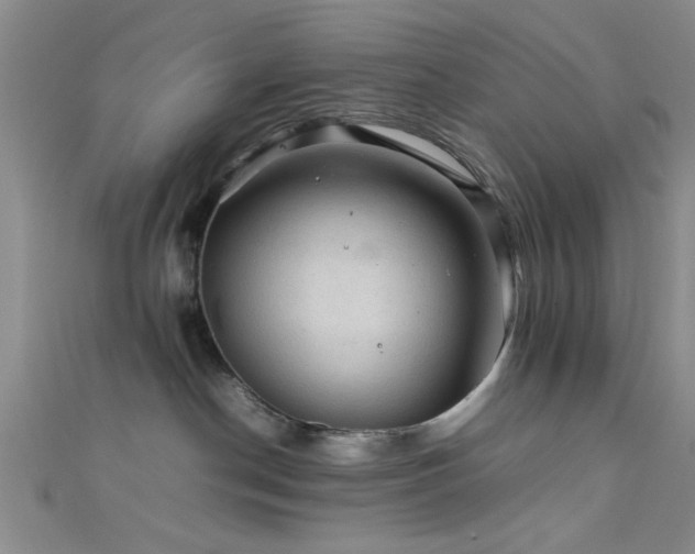 X0000111600190200907161600