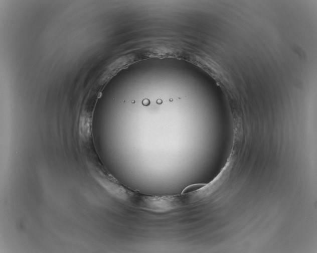 X0000111600191200907161600
