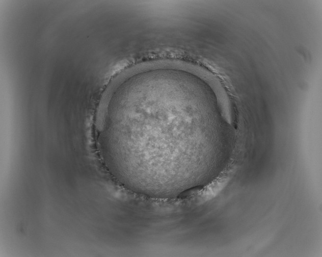 X0000111600192200907161600