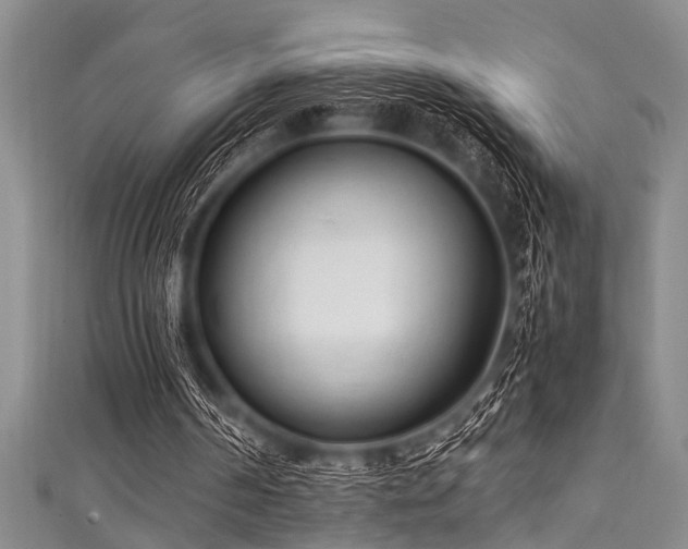X0000111600194200907161600