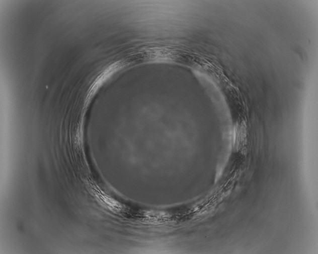 X0000111600195200907161600