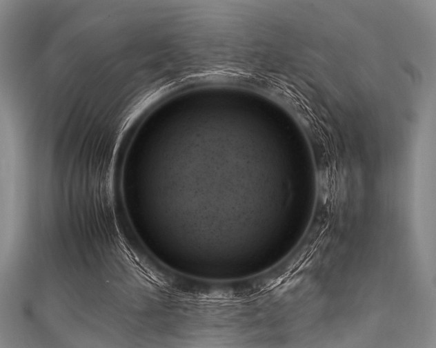 X0000111600196200907161600