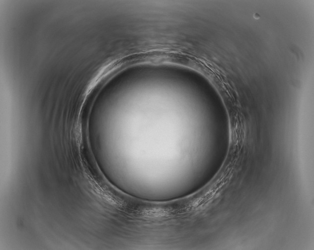 X0000111600198200907161600