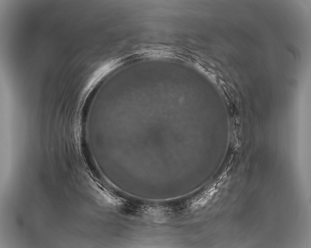 X0000111600199200907161600