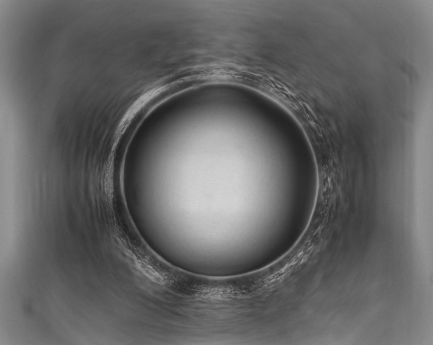 X0000111600200200907161600