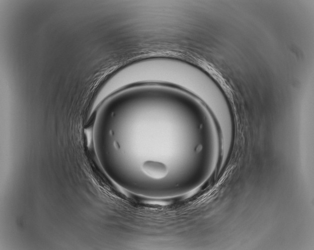 X0000111600201200907161600