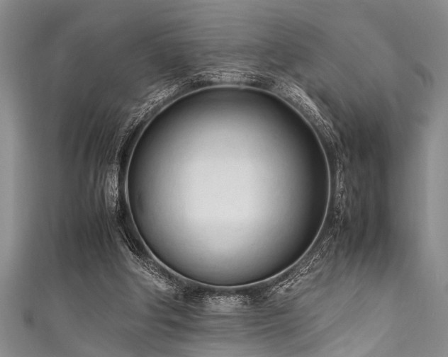 X0000111600202200907161600