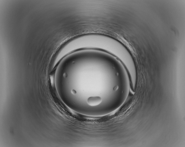 X0000111600203200907161600