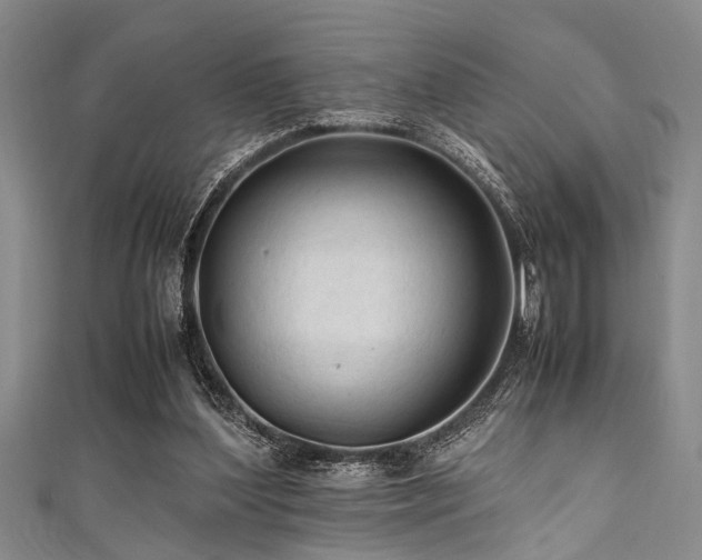 X0000111600204200907161600