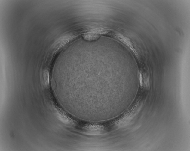 X0000111600205200907161600