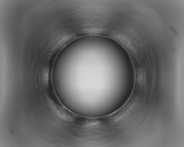 X0000111600206200907161559