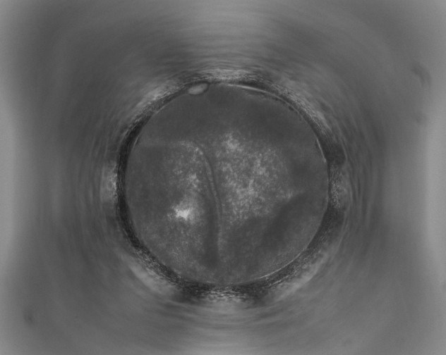 X0000111600207200907161559