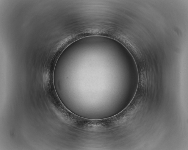 X0000111600208200907161559