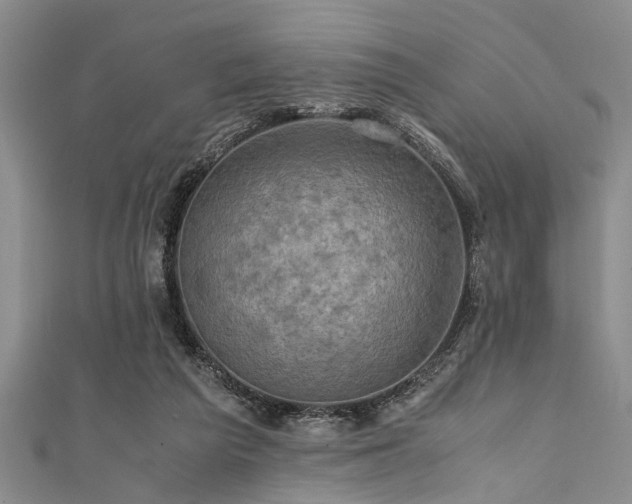 X0000111600209200907161559