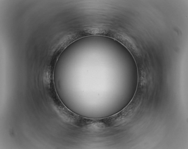 X0000111600210200907161559
