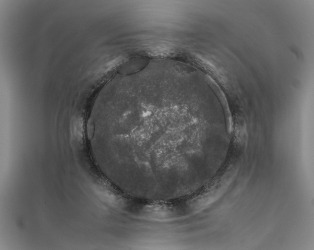 X0000111600211200907161559