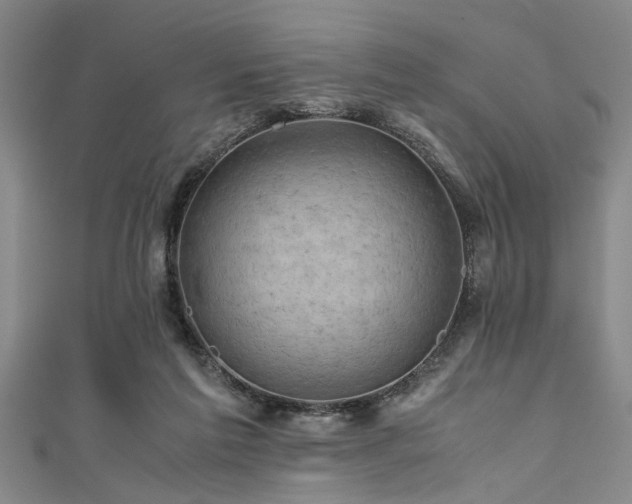 X0000111600213200907161559